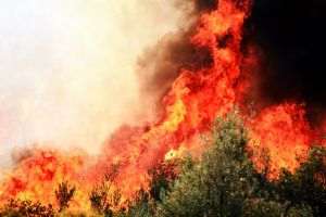 MAE: Niciun cetăţean român nu se află printre persoanele afectate de incendiile din Grecia